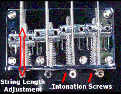 Typical bass bridge.