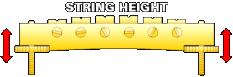 Bridge Height Adjustment